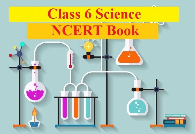 NCERT Solutions for Class 6 Science PDF Download