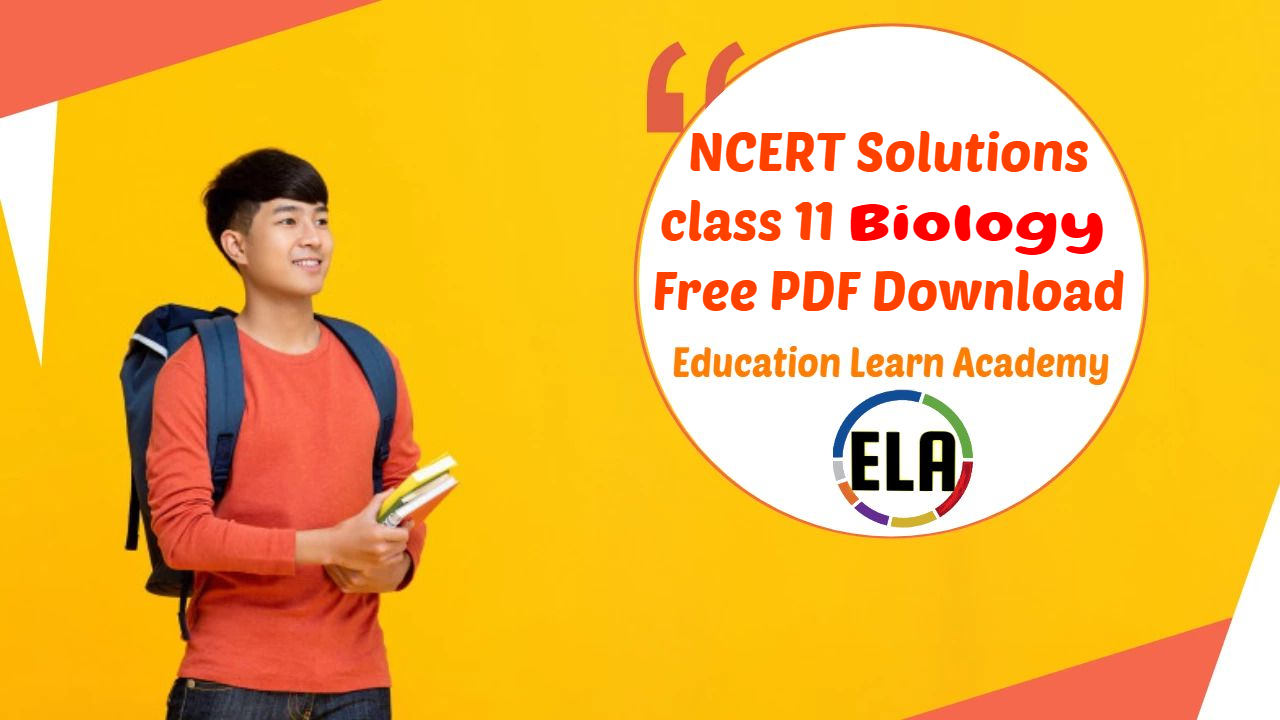 NCERT Solutions class 11 Biology Free PDF Download
