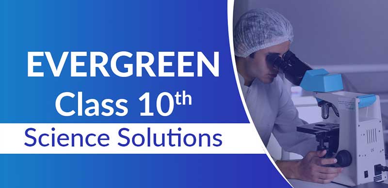 Evergreen Science Solutions Class 10
