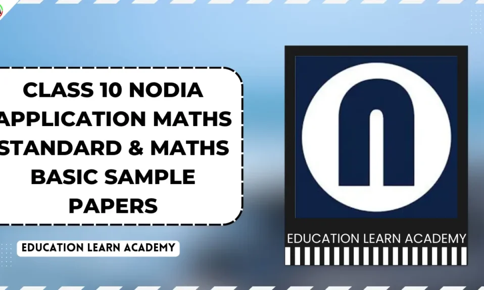Class 10 Nodia application MATHS STANDARD & MATHS BASIC sample Papers